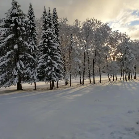 Lägenhet Alpenlandhof *